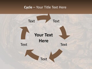 Mortuary Cemetery Mummified PowerPoint Template