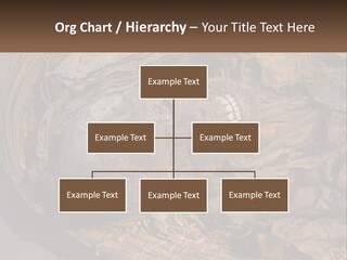 Mortuary Cemetery Mummified PowerPoint Template