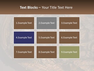 Mortuary Cemetery Mummified PowerPoint Template
