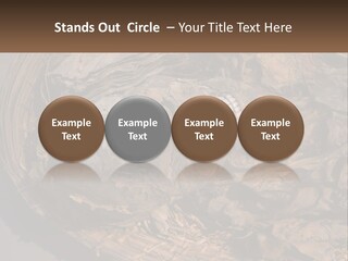 Mortuary Cemetery Mummified PowerPoint Template