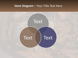 Mortuary Cemetery Mummified PowerPoint Template