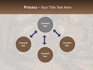 Mortuary Cemetery Mummified PowerPoint Template