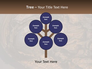 Mortuary Cemetery Mummified PowerPoint Template