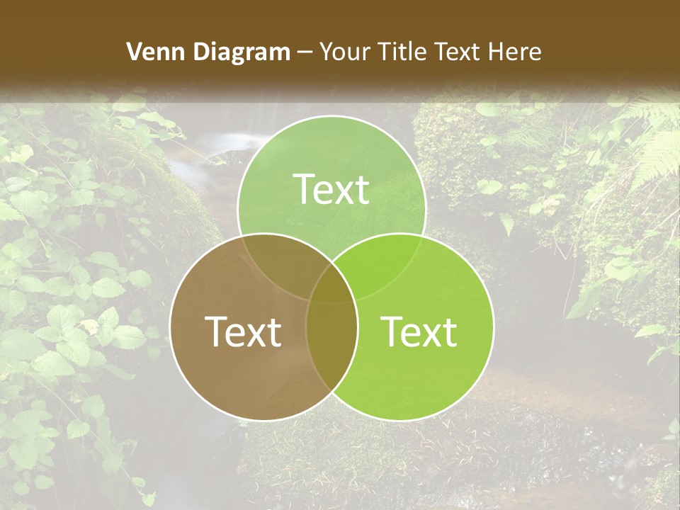 Motion Fresh Torrent PowerPoint Template