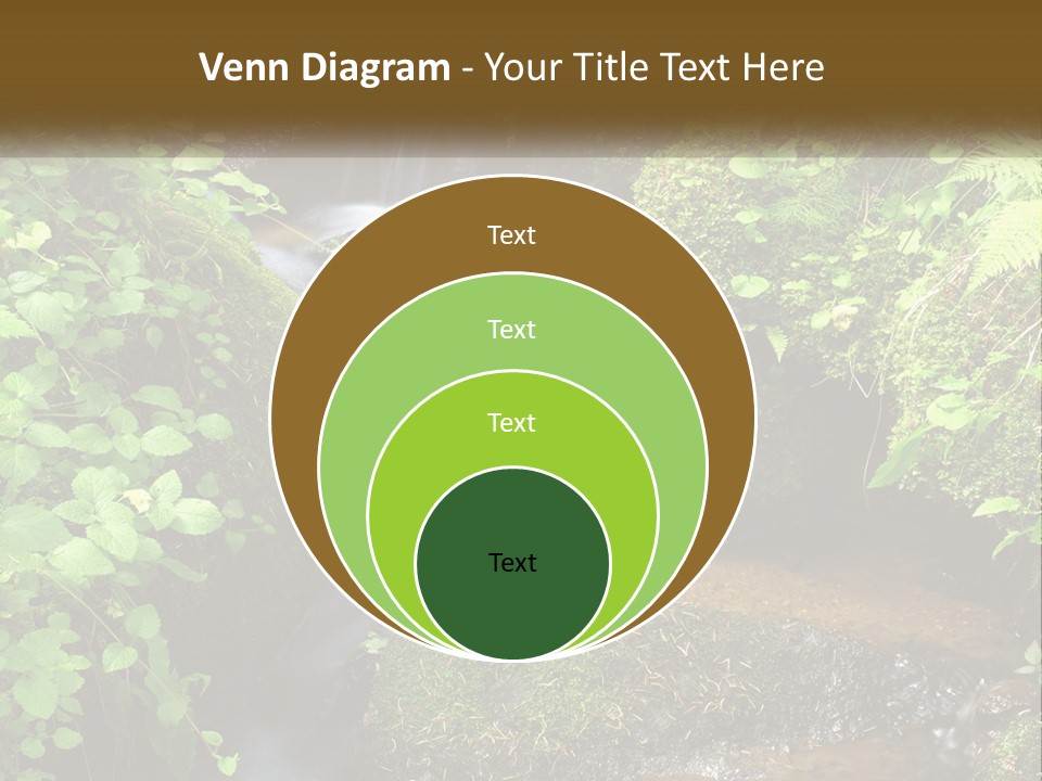 Motion Fresh Torrent PowerPoint Template