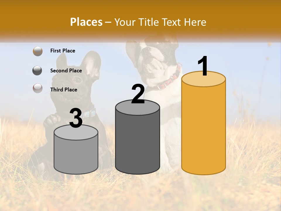 Green Animal Black PowerPoint Template