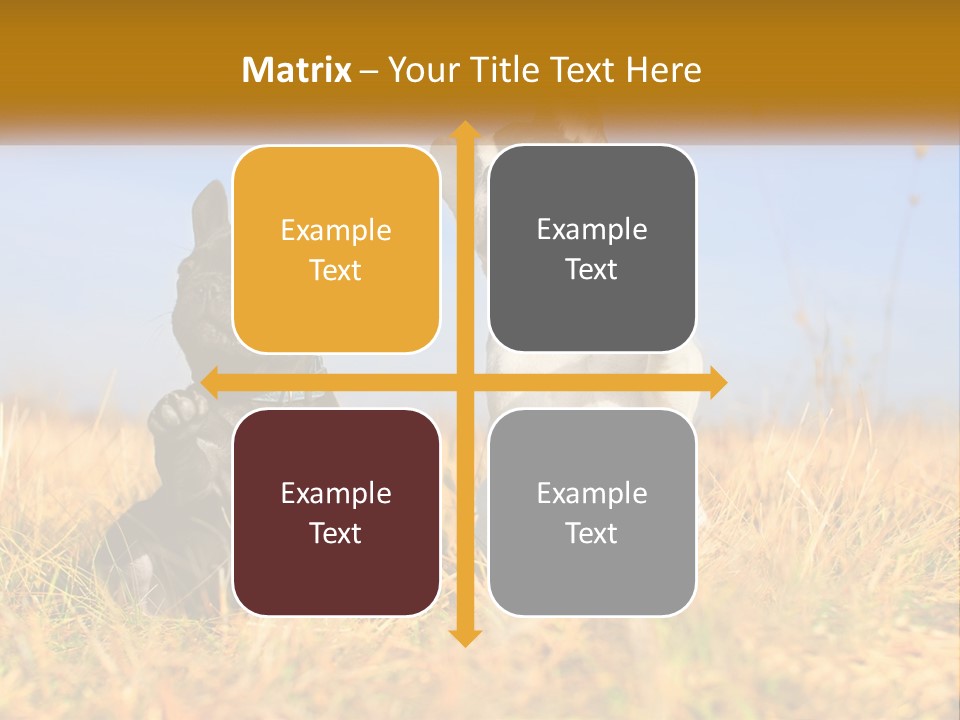 Green Animal Black PowerPoint Template