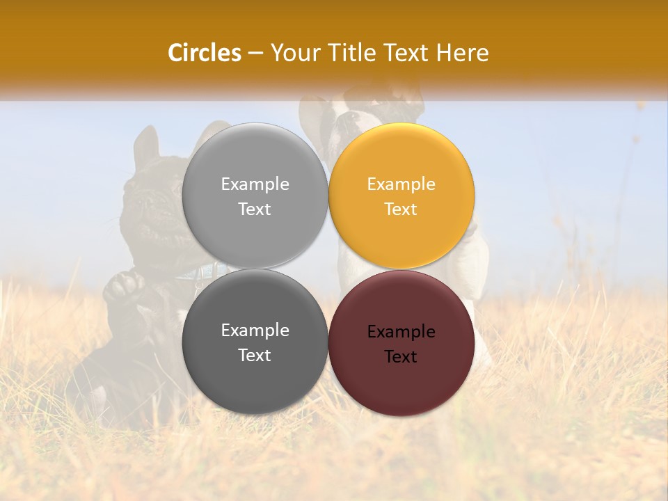 Green Animal Black PowerPoint Template