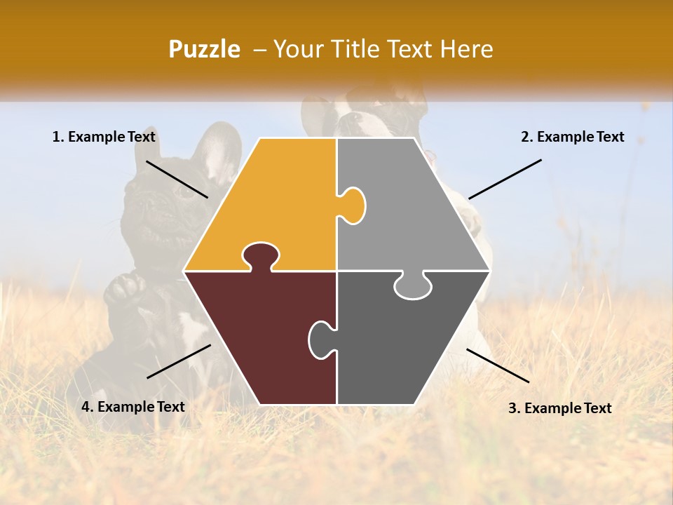 Green Animal Black PowerPoint Template