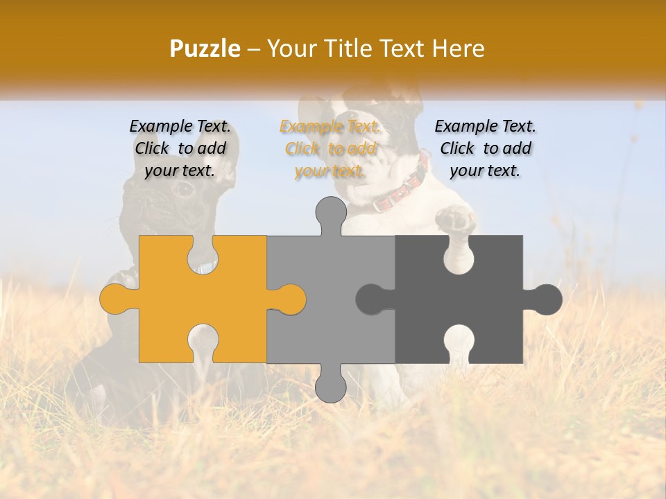 Green Animal Black PowerPoint Template