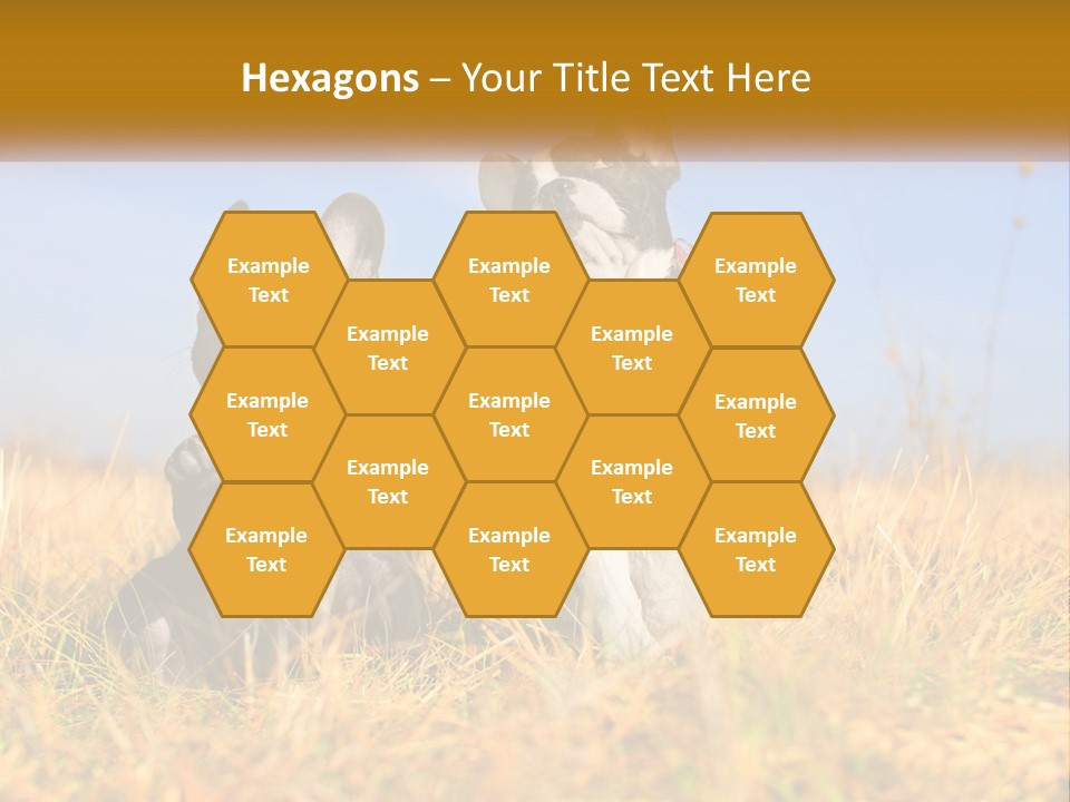 Green Animal Black PowerPoint Template