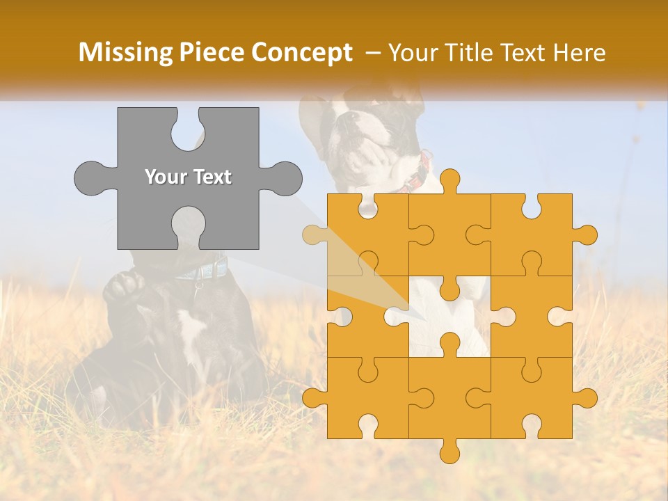 Green Animal Black PowerPoint Template