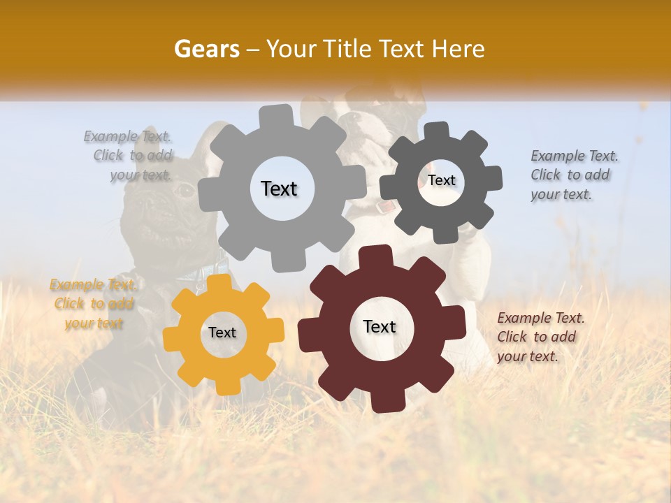 Green Animal Black PowerPoint Template