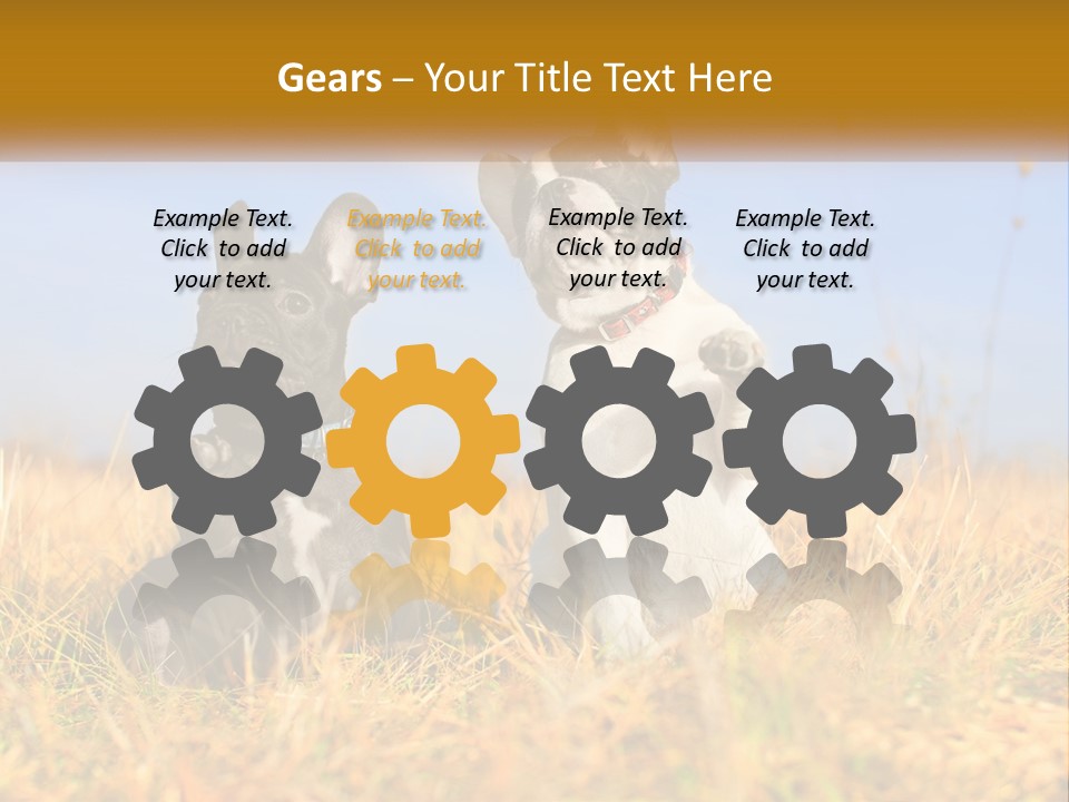 Green Animal Black PowerPoint Template