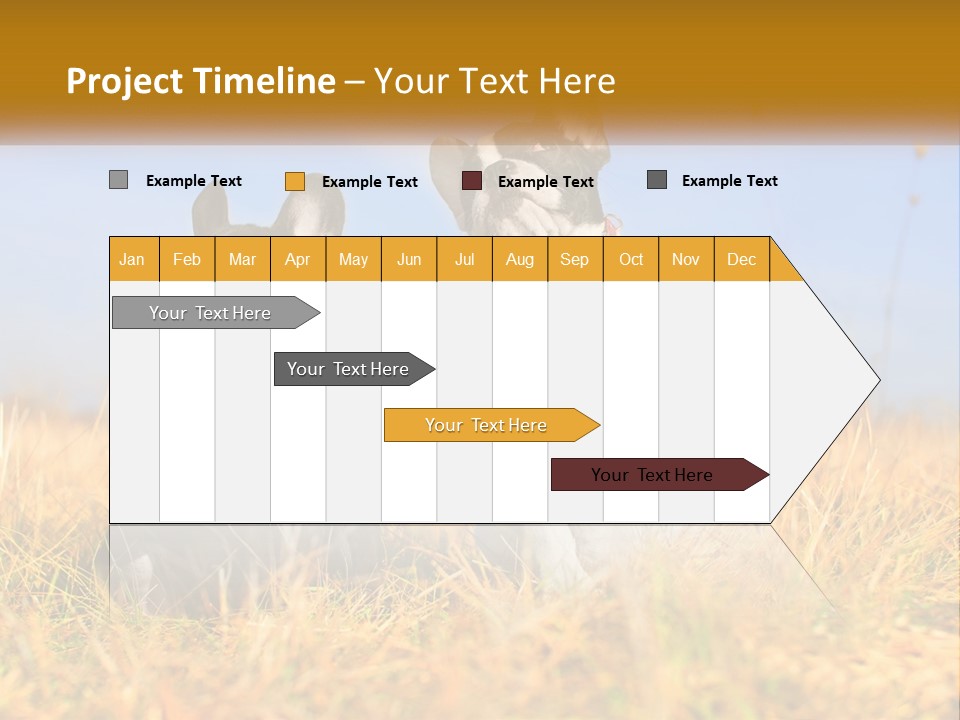 Green Animal Black PowerPoint Template