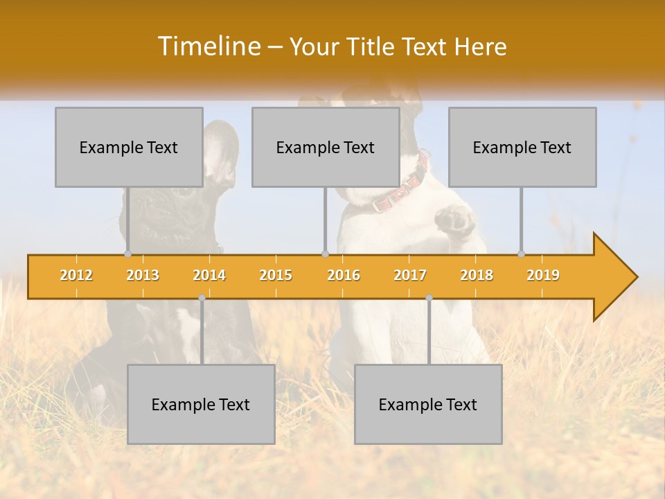 Green Animal Black PowerPoint Template