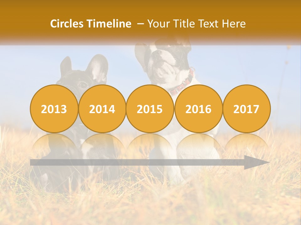 Green Animal Black PowerPoint Template