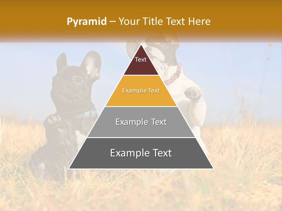 Green Animal Black PowerPoint Template