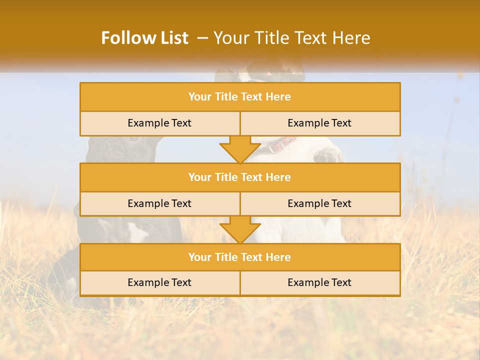Green Animal Black PowerPoint Template