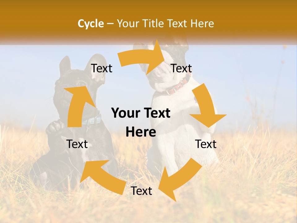 Green Animal Black PowerPoint Template