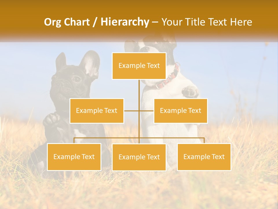 Green Animal Black PowerPoint Template