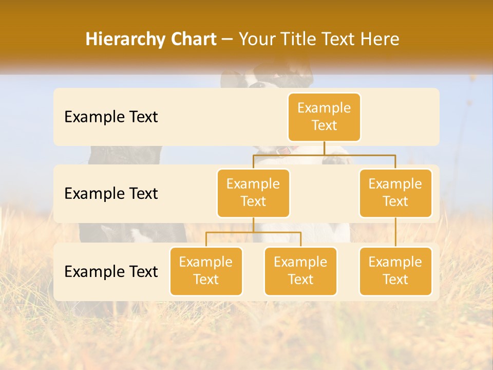 Green Animal Black PowerPoint Template