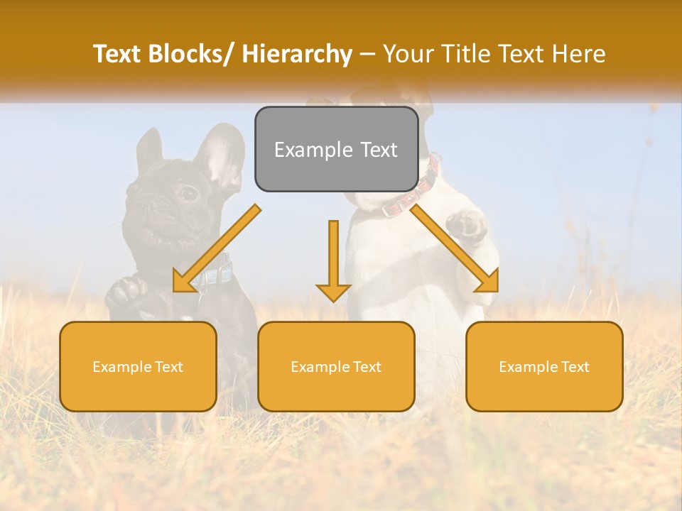 Green Animal Black PowerPoint Template