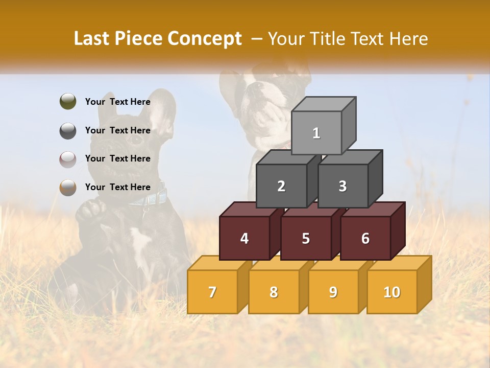 Green Animal Black PowerPoint Template