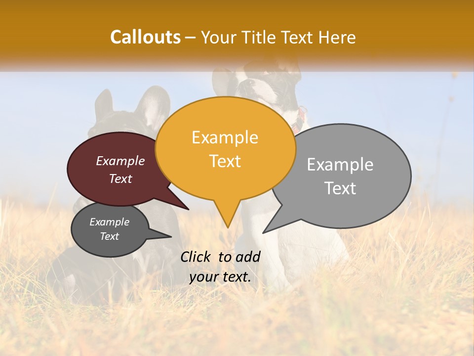 Green Animal Black PowerPoint Template