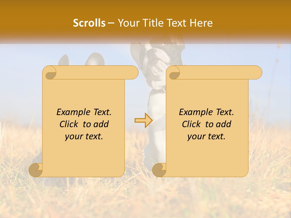 Green Animal Black PowerPoint Template