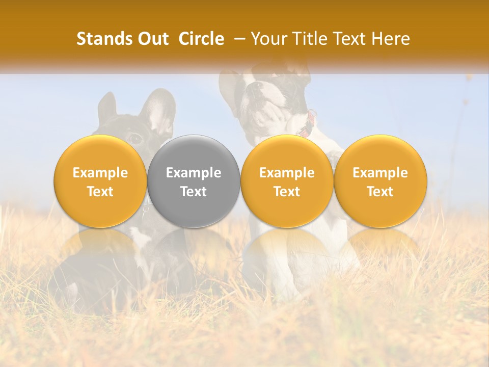 Green Animal Black PowerPoint Template