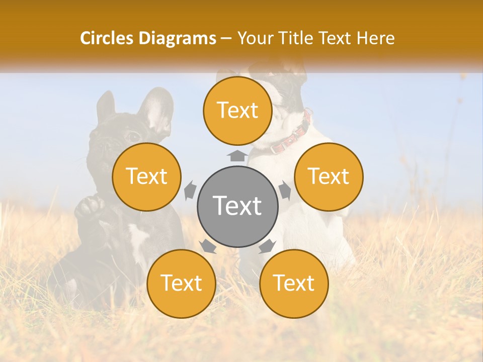 Green Animal Black PowerPoint Template