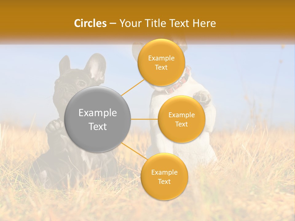 Green Animal Black PowerPoint Template