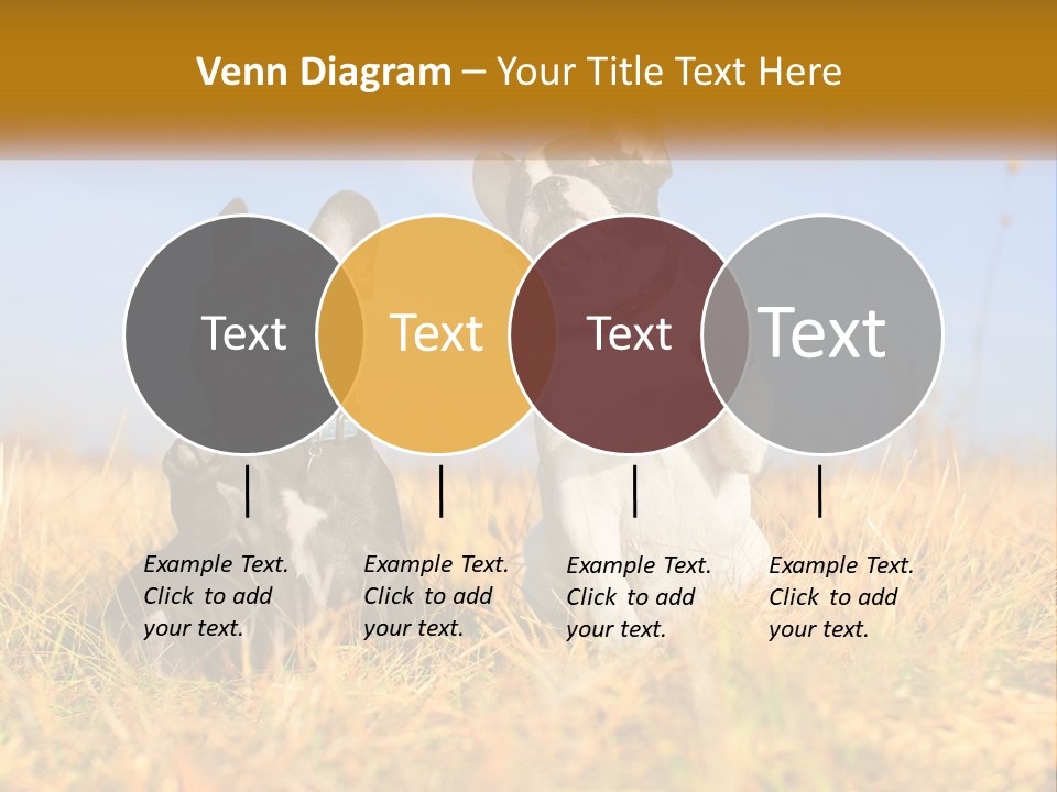 Green Animal Black PowerPoint Template