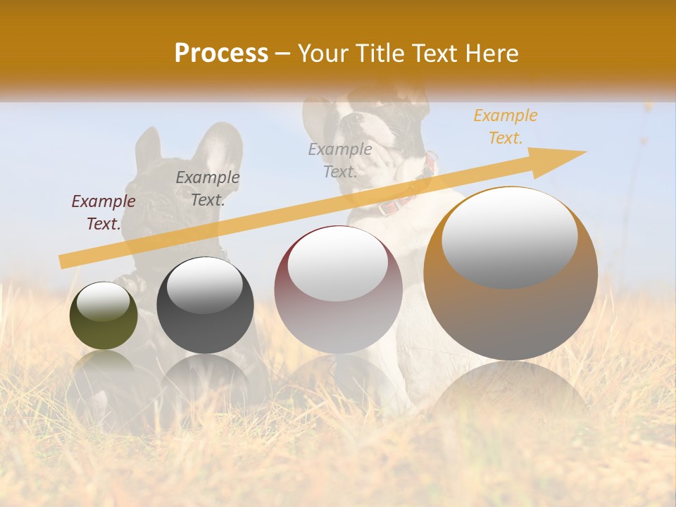 Green Animal Black PowerPoint Template