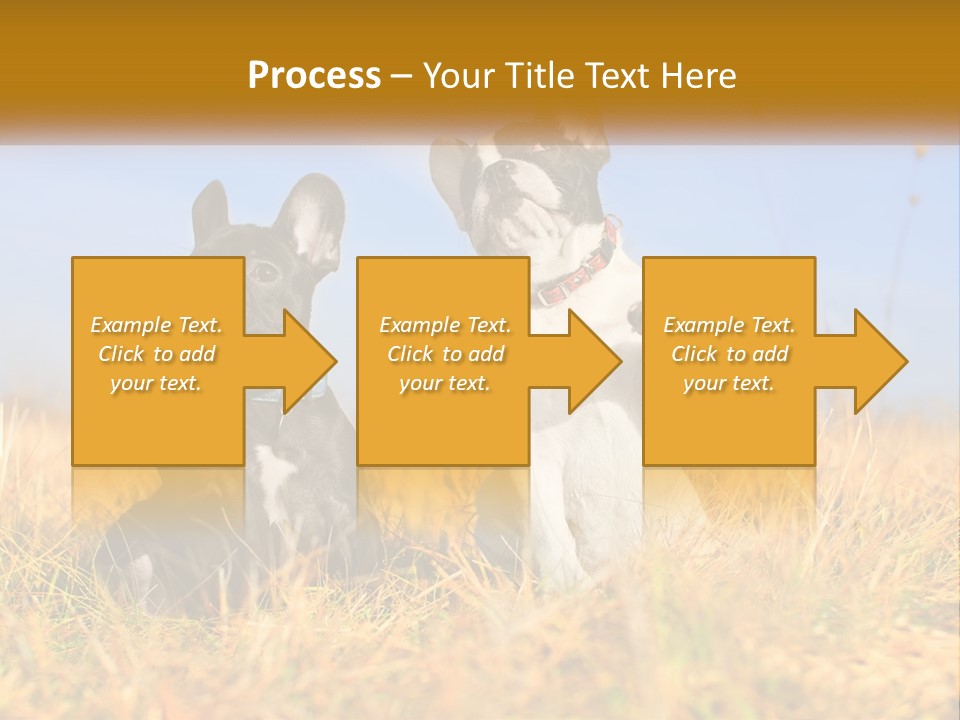 Green Animal Black PowerPoint Template