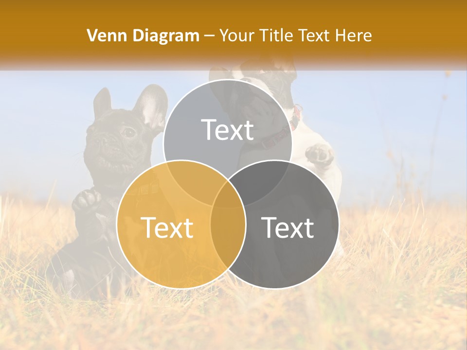 Green Animal Black PowerPoint Template