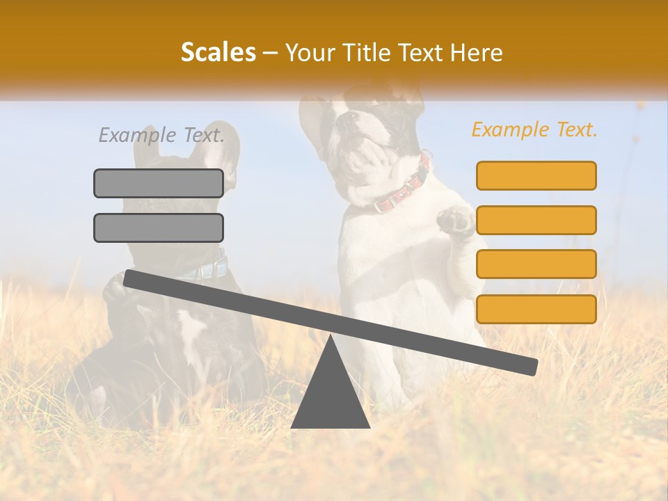 Green Animal Black PowerPoint Template