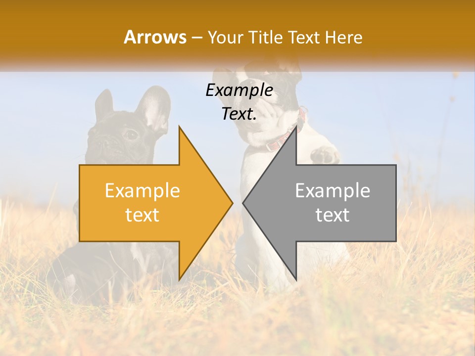 Green Animal Black PowerPoint Template