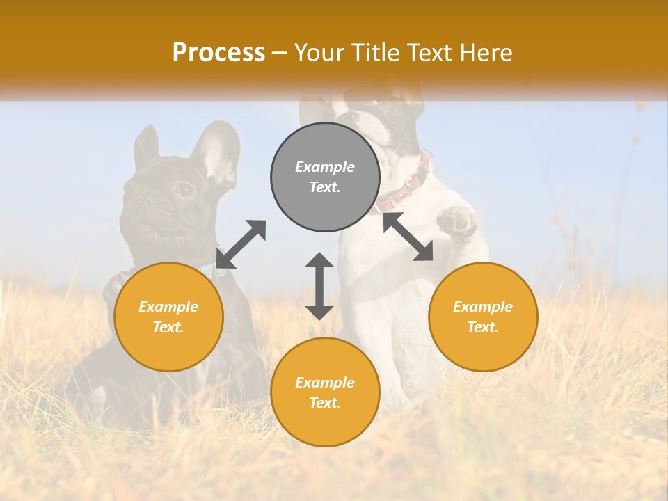 Green Animal Black PowerPoint Template