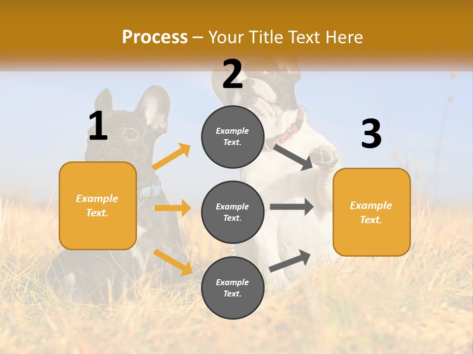 Green Animal Black PowerPoint Template