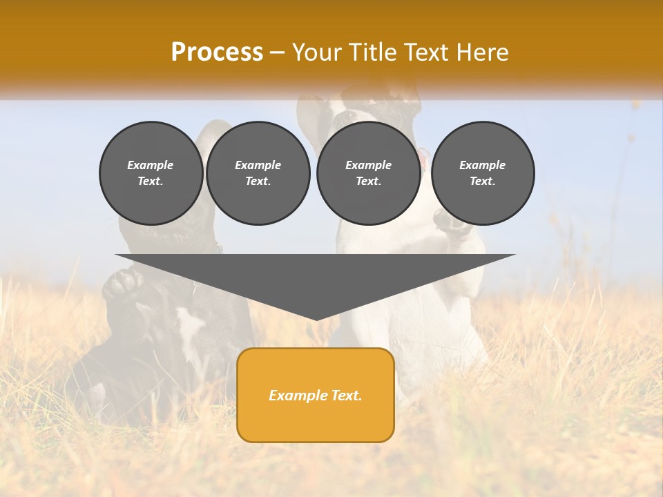 Green Animal Black PowerPoint Template