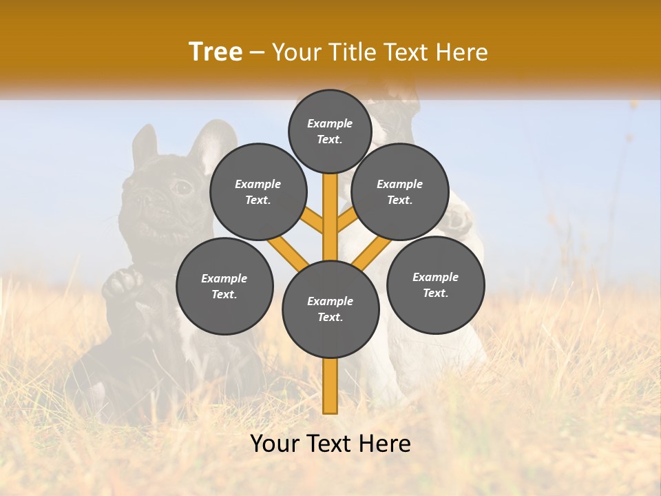 Green Animal Black PowerPoint Template