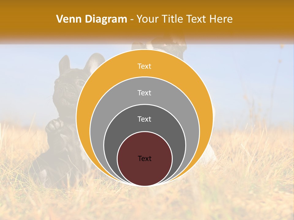 Green Animal Black PowerPoint Template