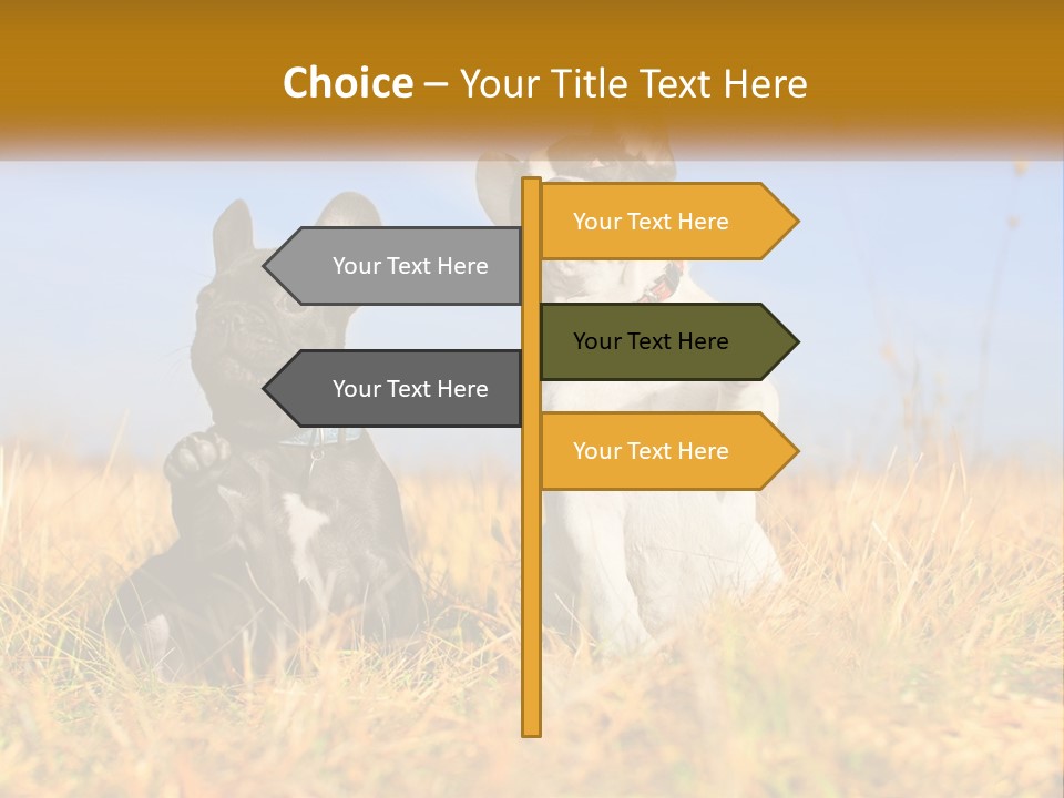 Green Animal Black PowerPoint Template