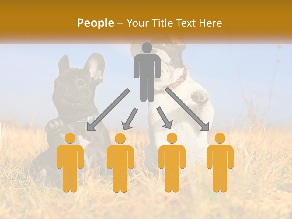 Green Animal Black PowerPoint Template