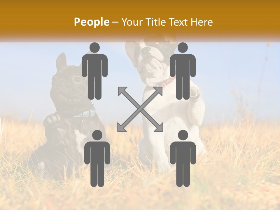 Green Animal Black PowerPoint Template