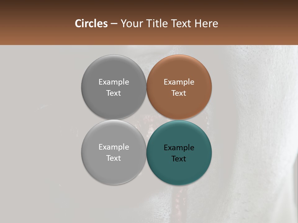 Vampire Horror Dark PowerPoint Template