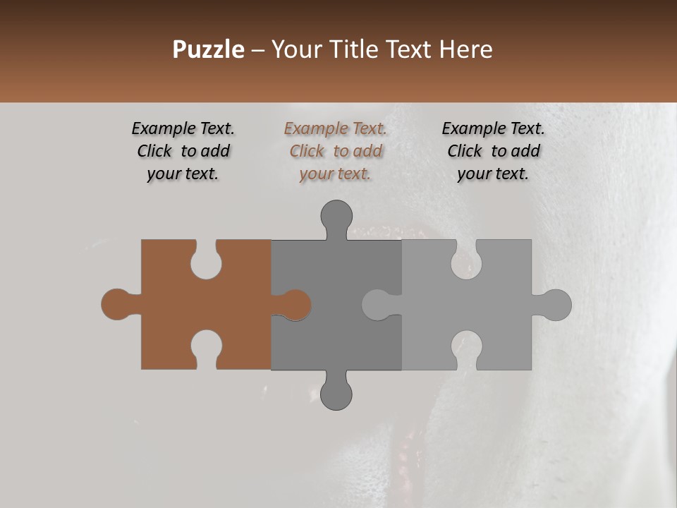 Vampire Horror Dark PowerPoint Template