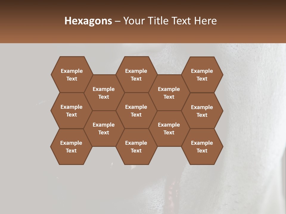 Vampire Horror Dark PowerPoint Template